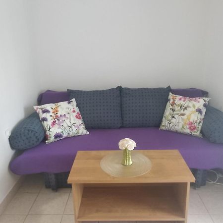 Apartment Savic Starigrad Paklenica Exterior foto