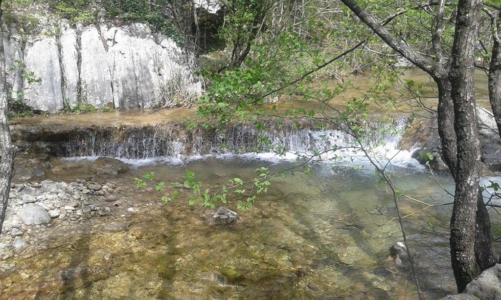 Apartment Savic Starigrad Paklenica Exterior foto